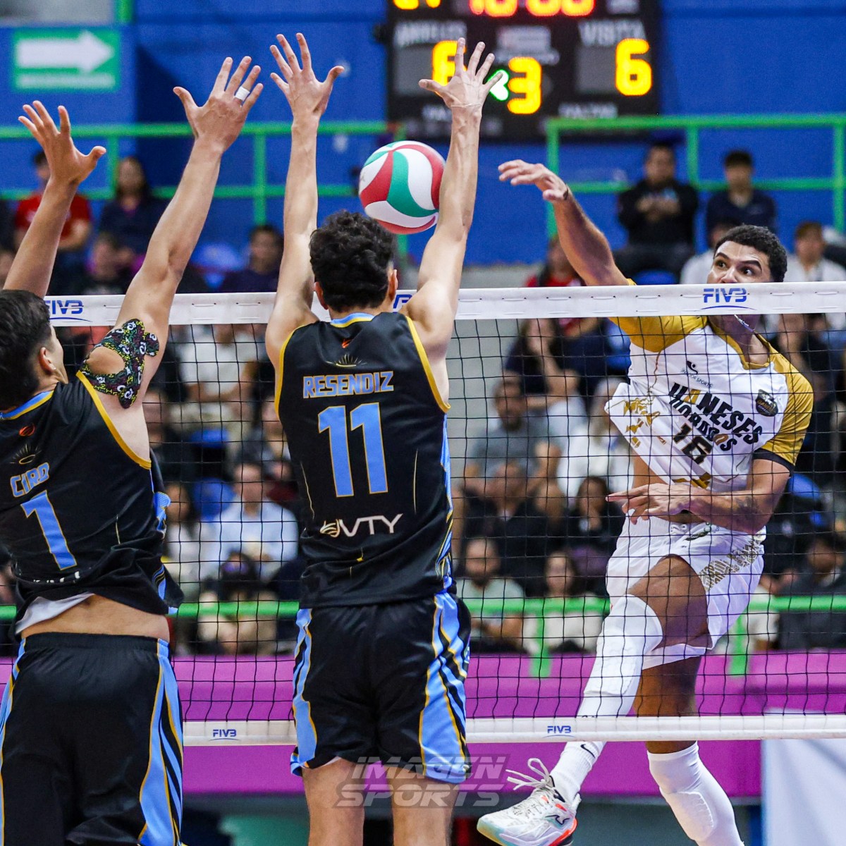 ¡Ángeles Voleibol debuta en casa con victoria&nbsp;contundente!